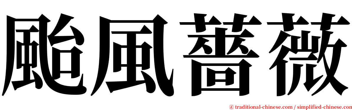 颱風薔薇 serif font