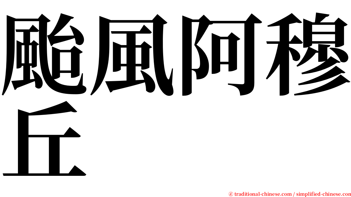 颱風阿穆丘 serif font