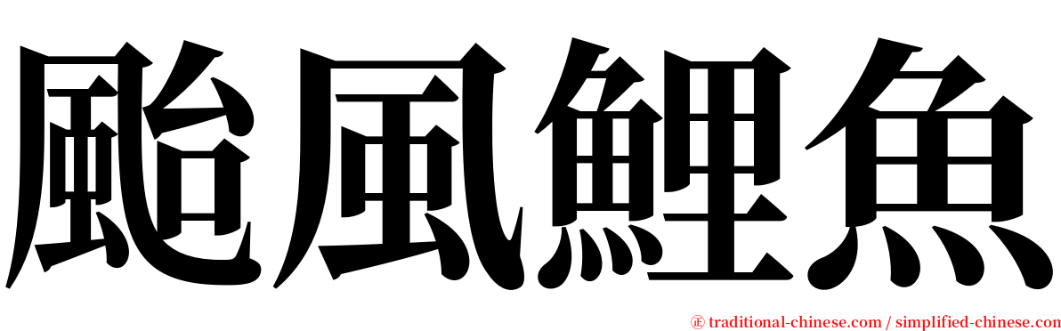 颱風鯉魚 serif font