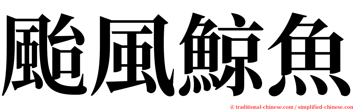 颱風鯨魚 serif font