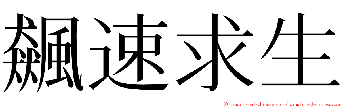 飆速求生 ming font