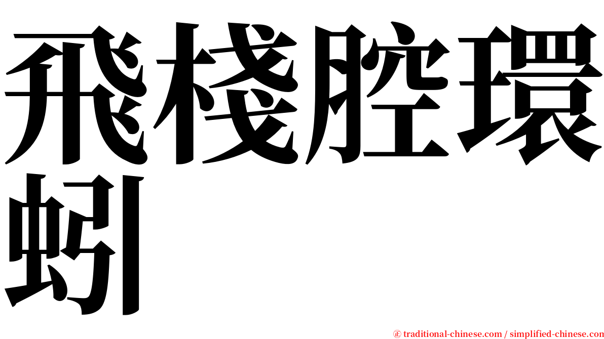 飛棧腔環蚓 serif font