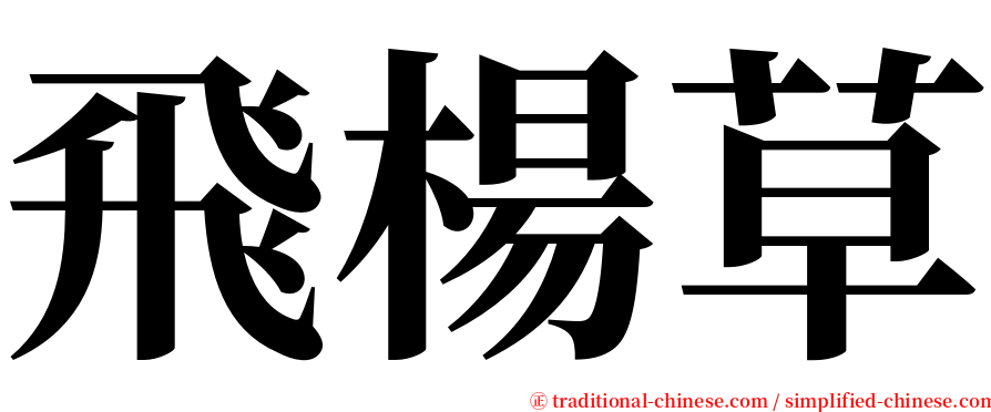 飛楊草 serif font