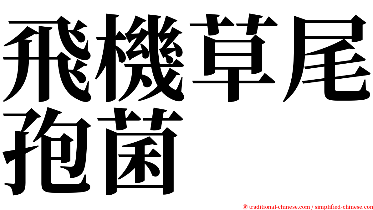 飛機草尾孢菌 serif font