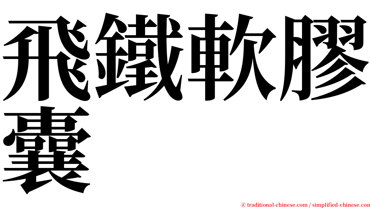 飛鐵軟膠囊 serif font