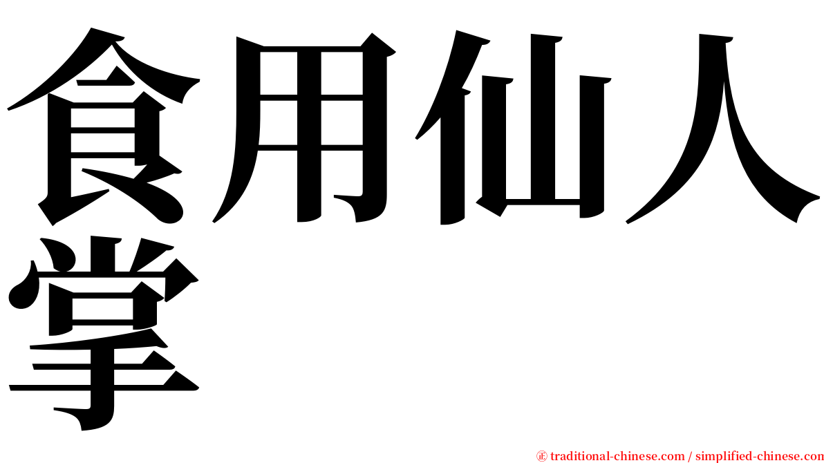食用仙人掌 serif font