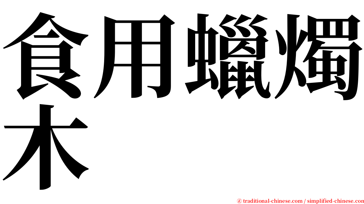 食用蠟燭木 serif font