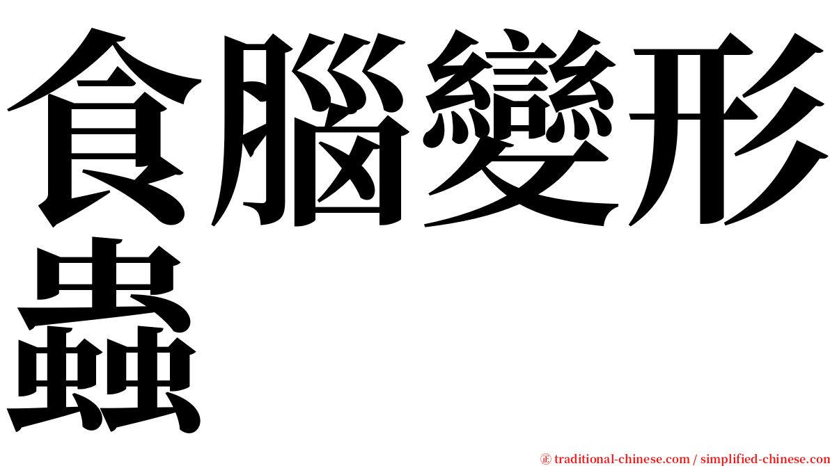 食腦變形蟲 serif font