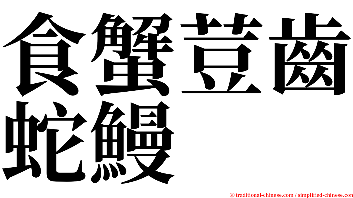 食蟹荳齒蛇鰻 serif font