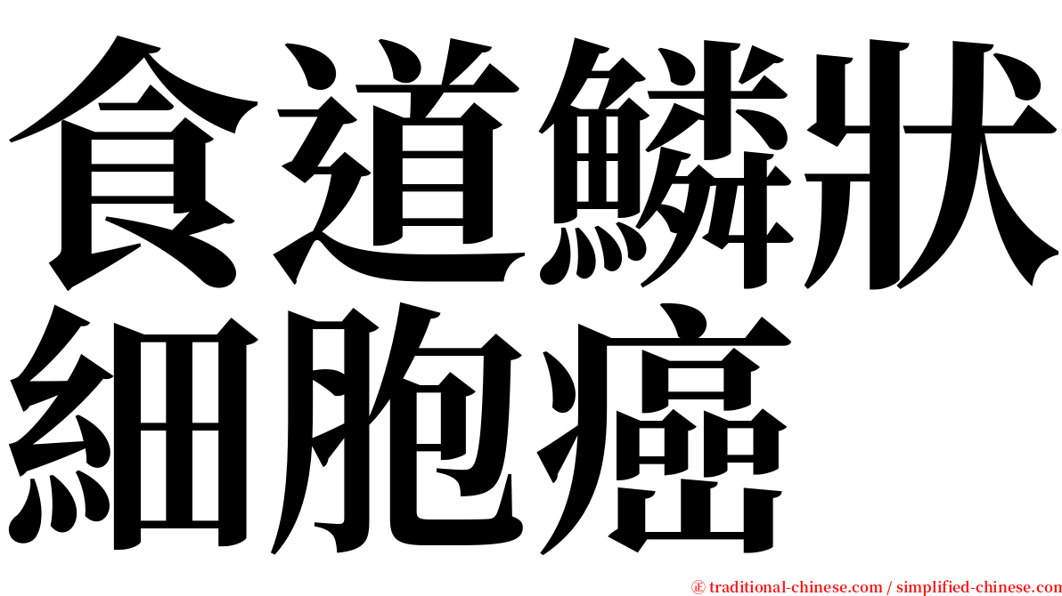 食道鱗狀細胞癌 serif font