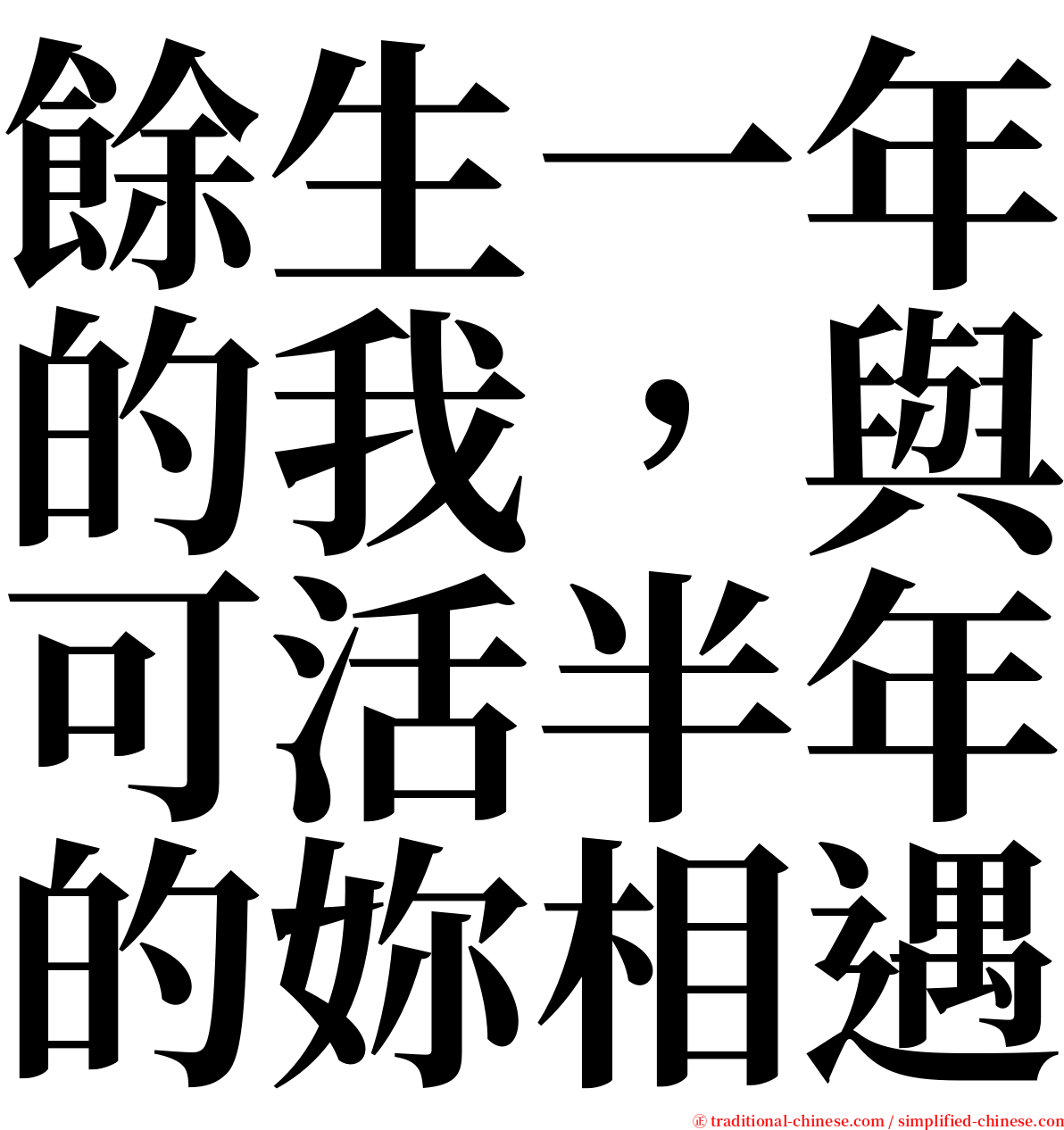 餘生一年的我，與可活半年的妳相遇 serif font