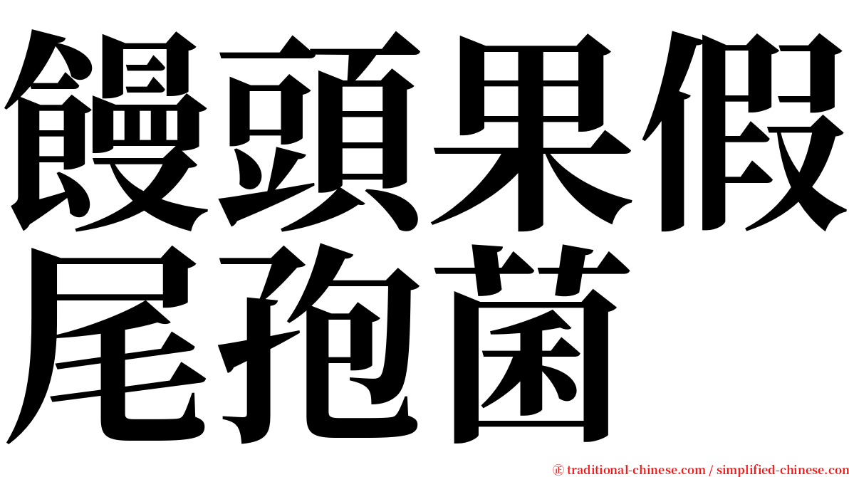 饅頭果假尾孢菌 serif font