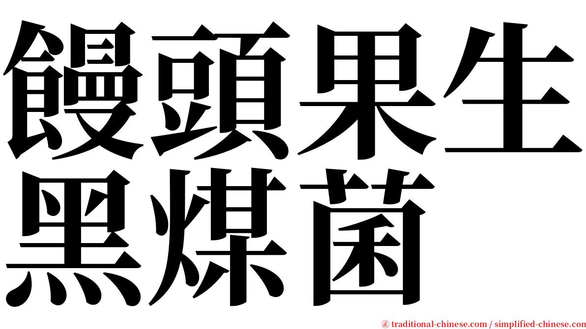 饅頭果生黑煤菌 serif font