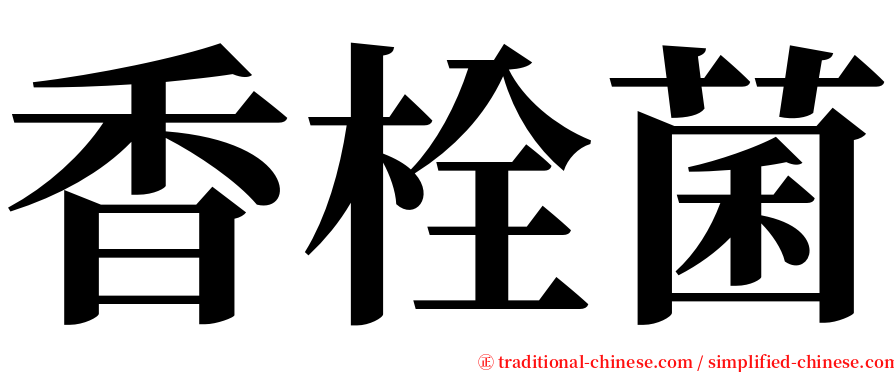香栓菌 serif font