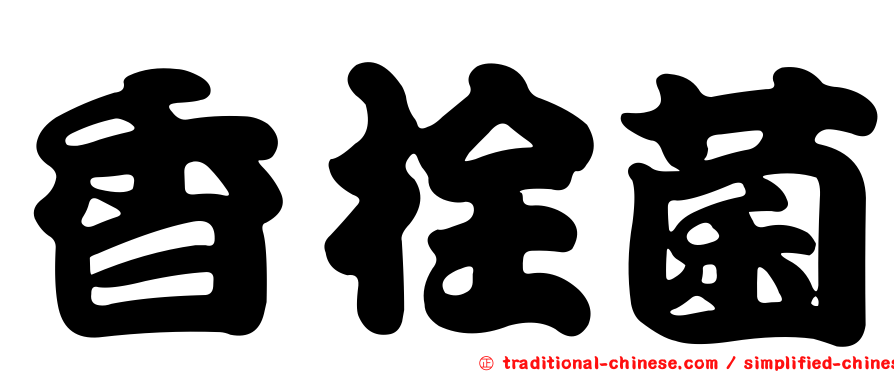 香栓菌