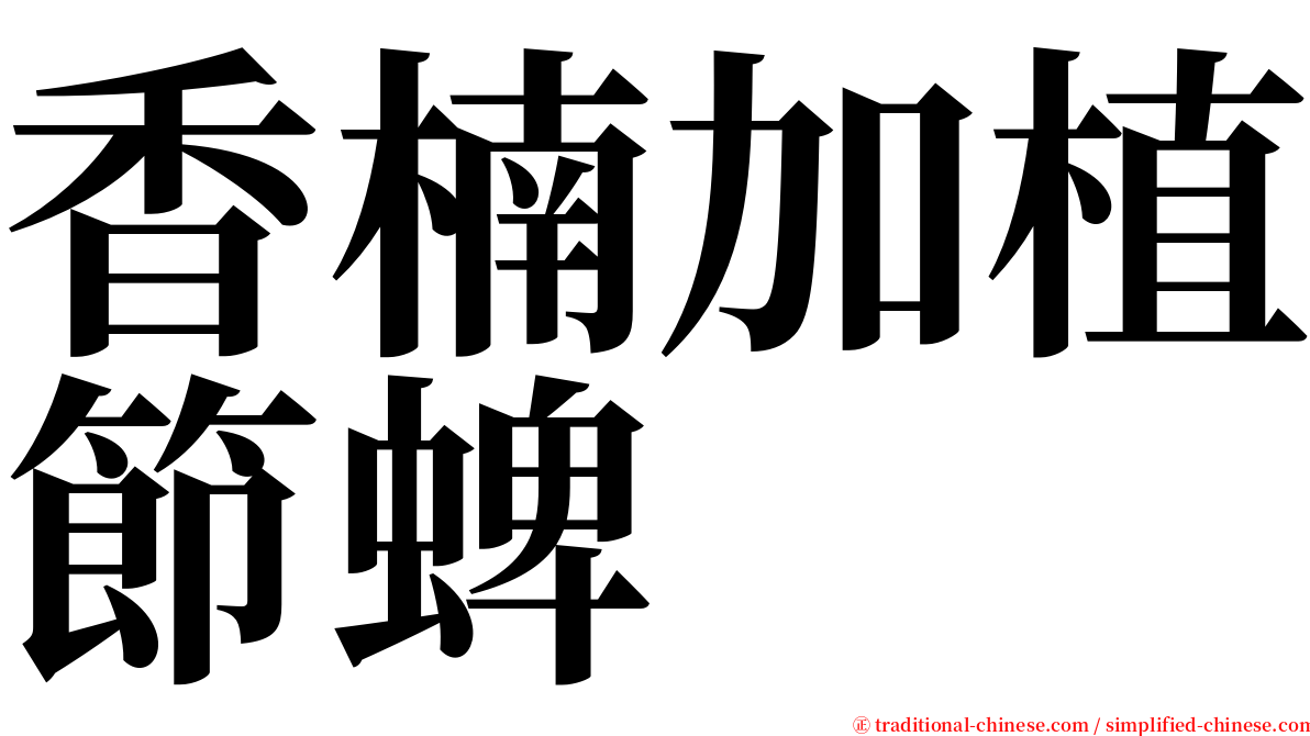 香楠加植節蜱 serif font