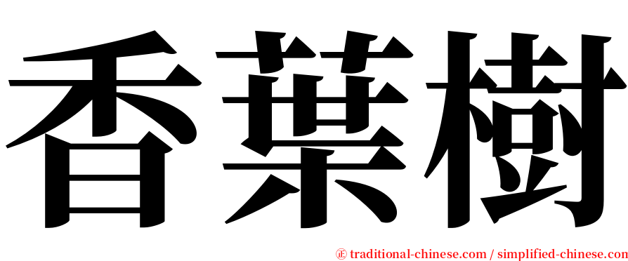 香葉樹 serif font