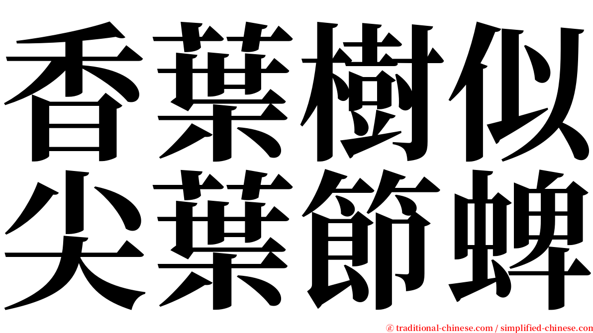 香葉樹似尖葉節蜱 serif font