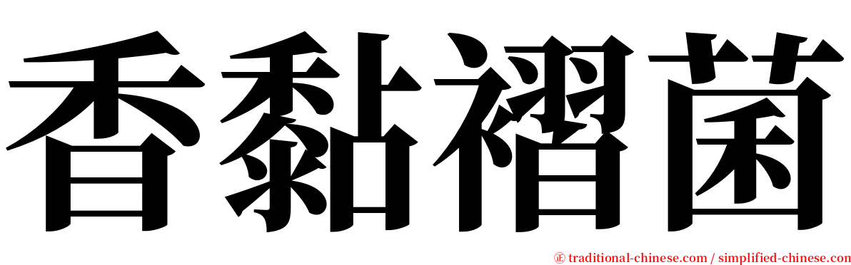 香黏褶菌 serif font