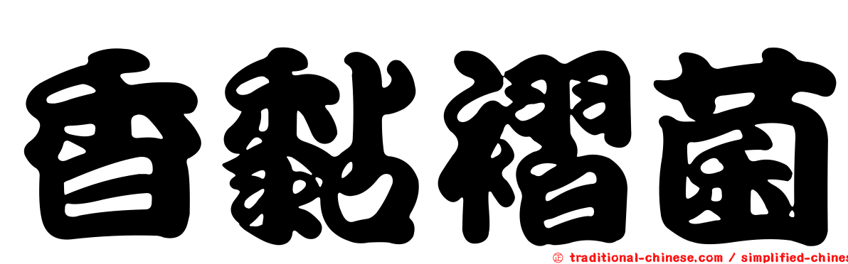 香黏褶菌