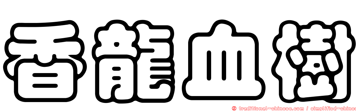 香龍血樹