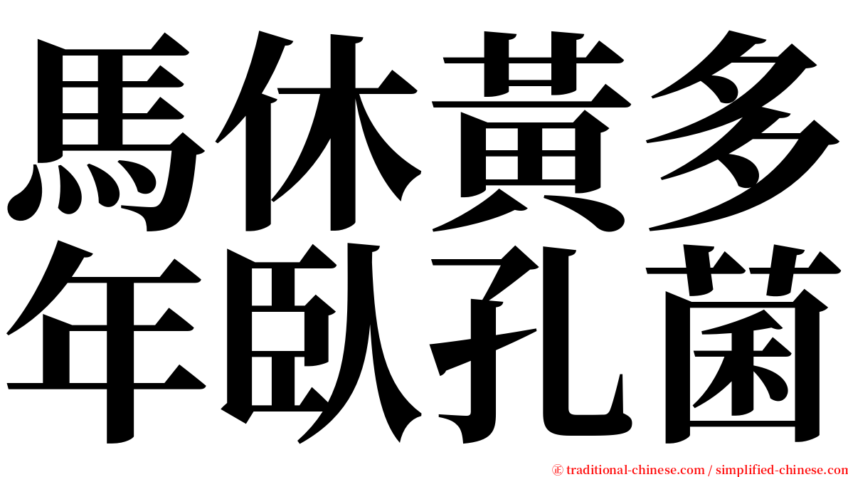 馬休黃多年臥孔菌 serif font