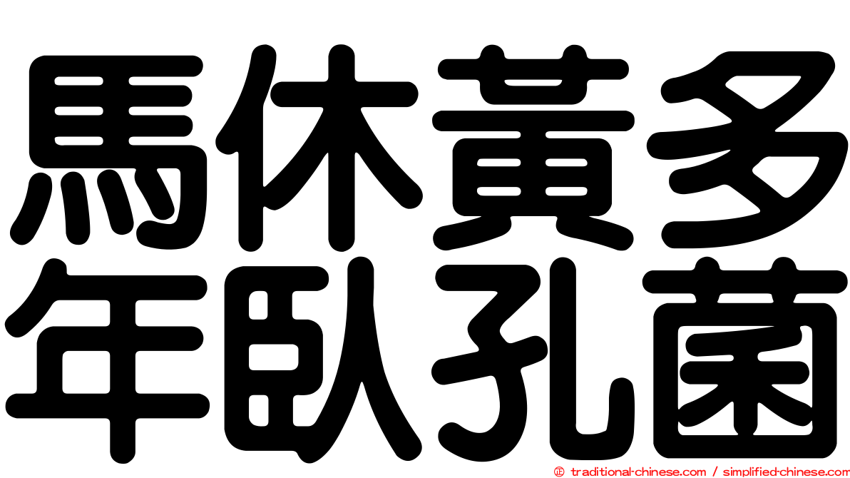 馬休黃多年臥孔菌