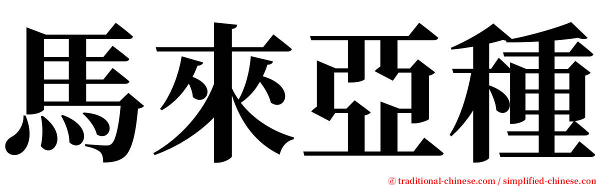 馬來亞種 serif font