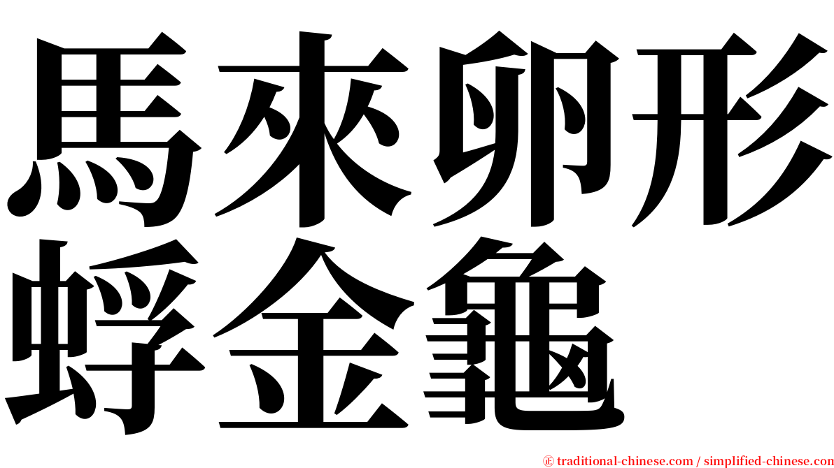 馬來卵形蜉金龜 serif font