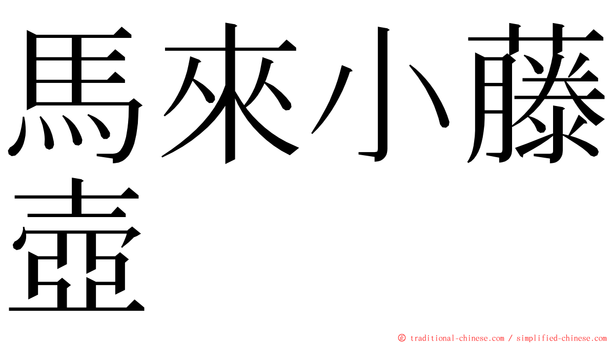 馬來小藤壺 ming font