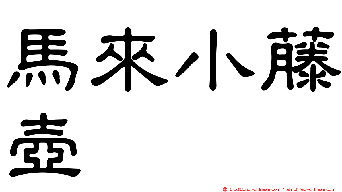 馬來小藤壺