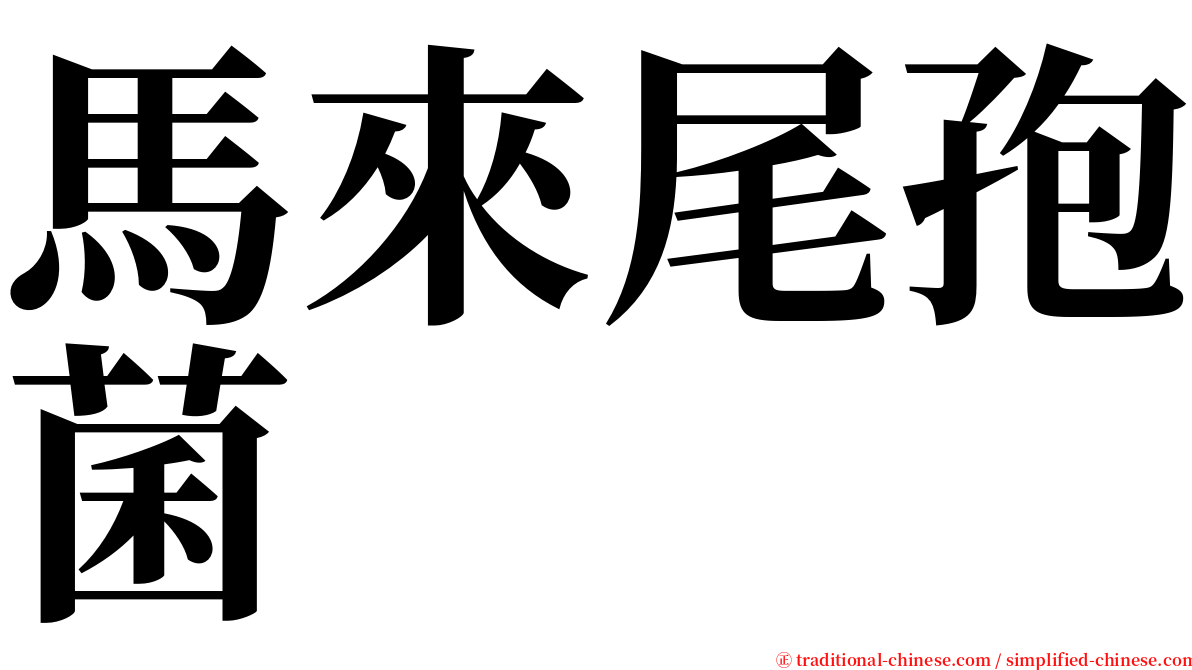 馬來尾孢菌 serif font