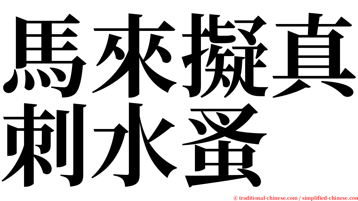 馬來擬真刺水蚤 serif font