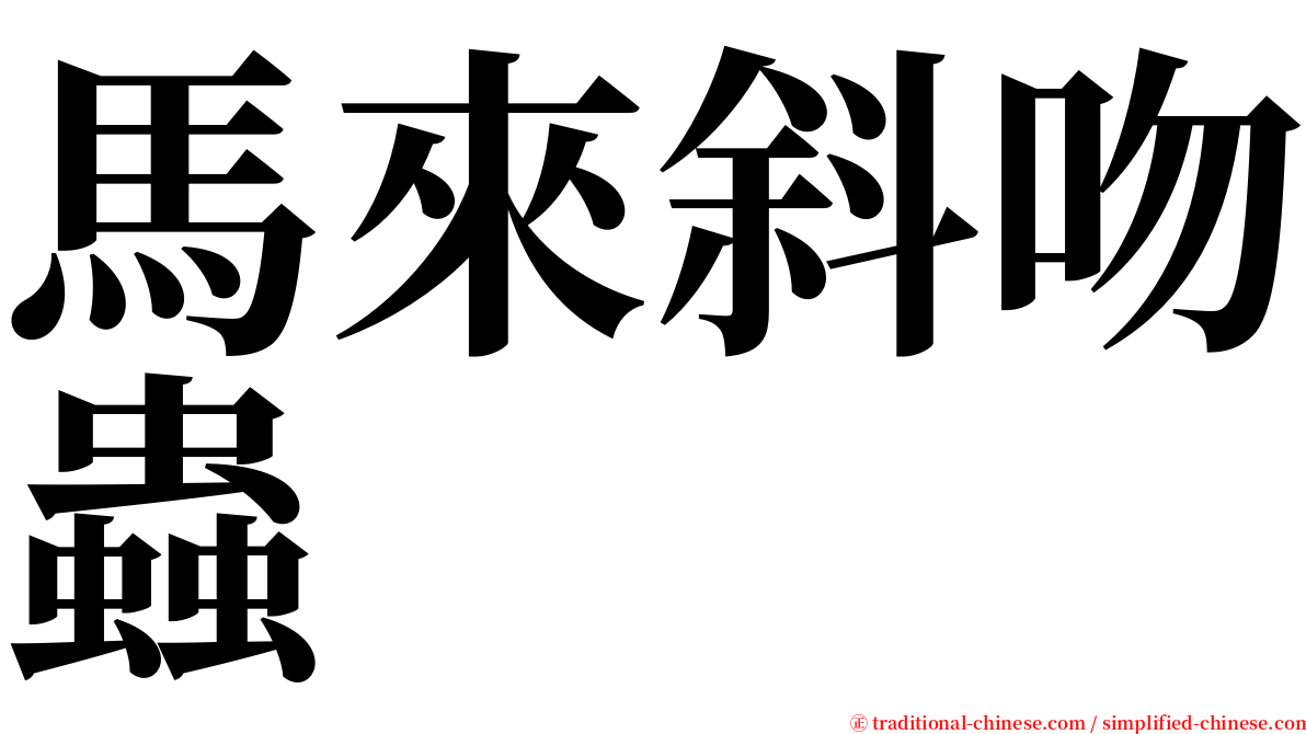 馬來斜吻蟲 serif font