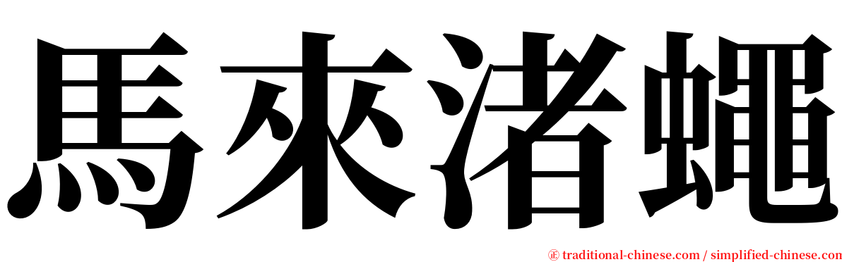 馬來渚蠅 serif font