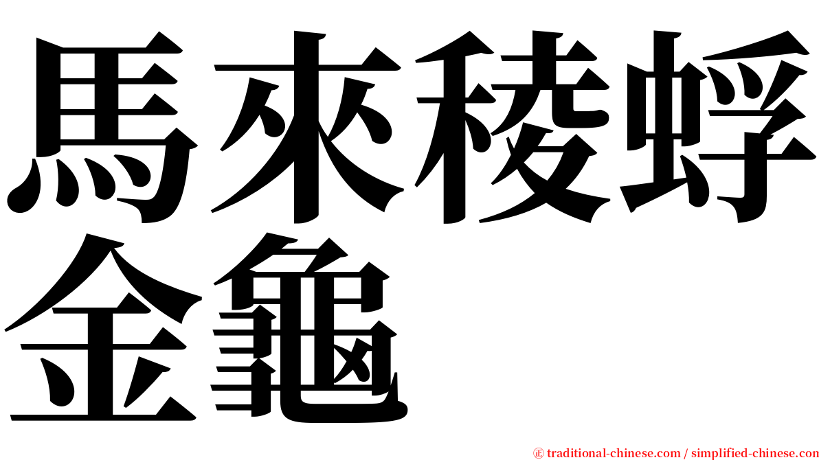 馬來稜蜉金龜 serif font