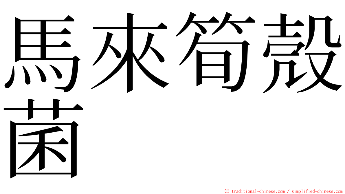 馬來筍殼菌 ming font