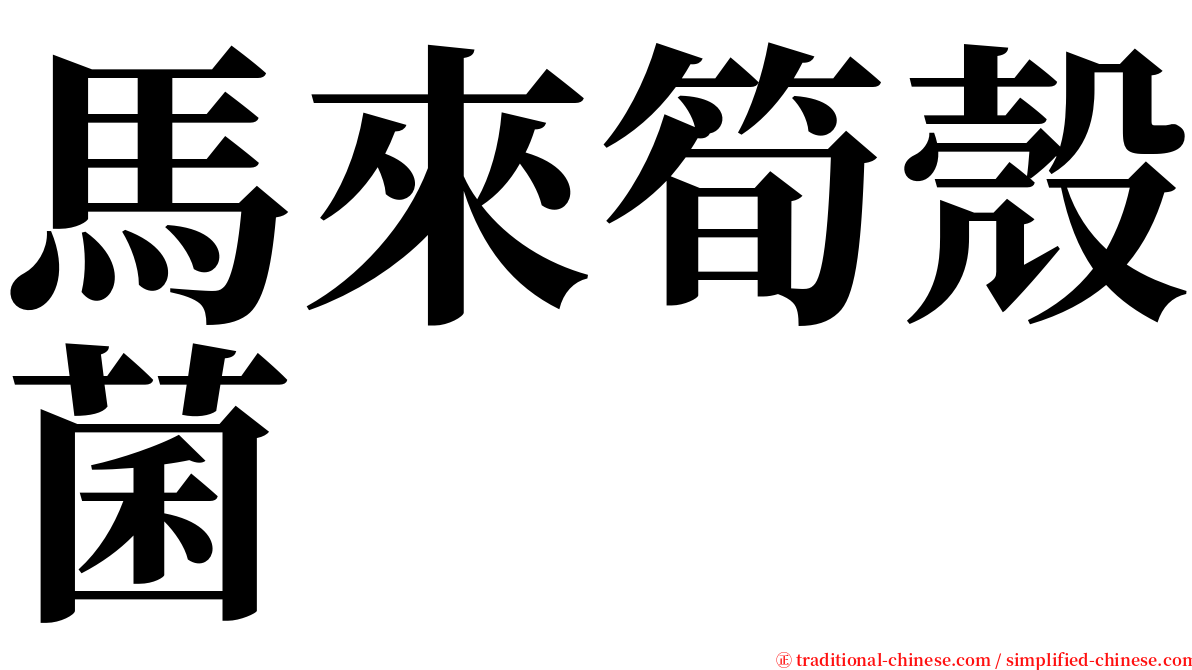 馬來筍殼菌 serif font