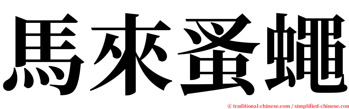 馬來蚤蠅 serif font