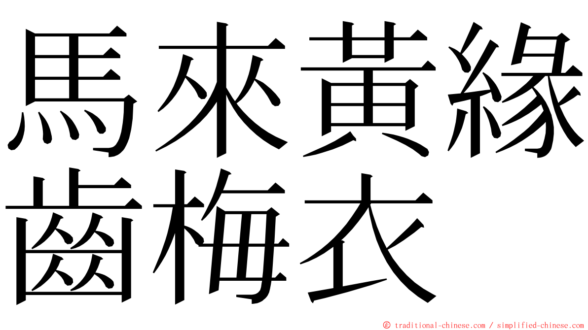 馬來黃緣齒梅衣 ming font