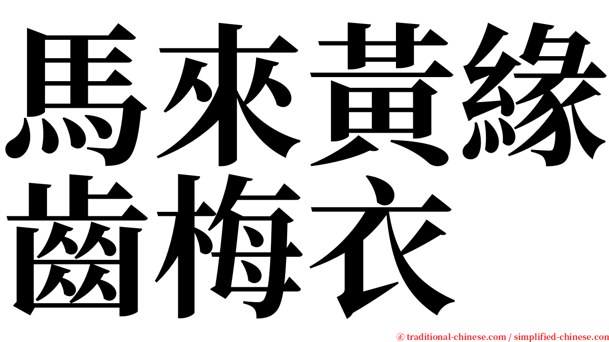 馬來黃緣齒梅衣 serif font