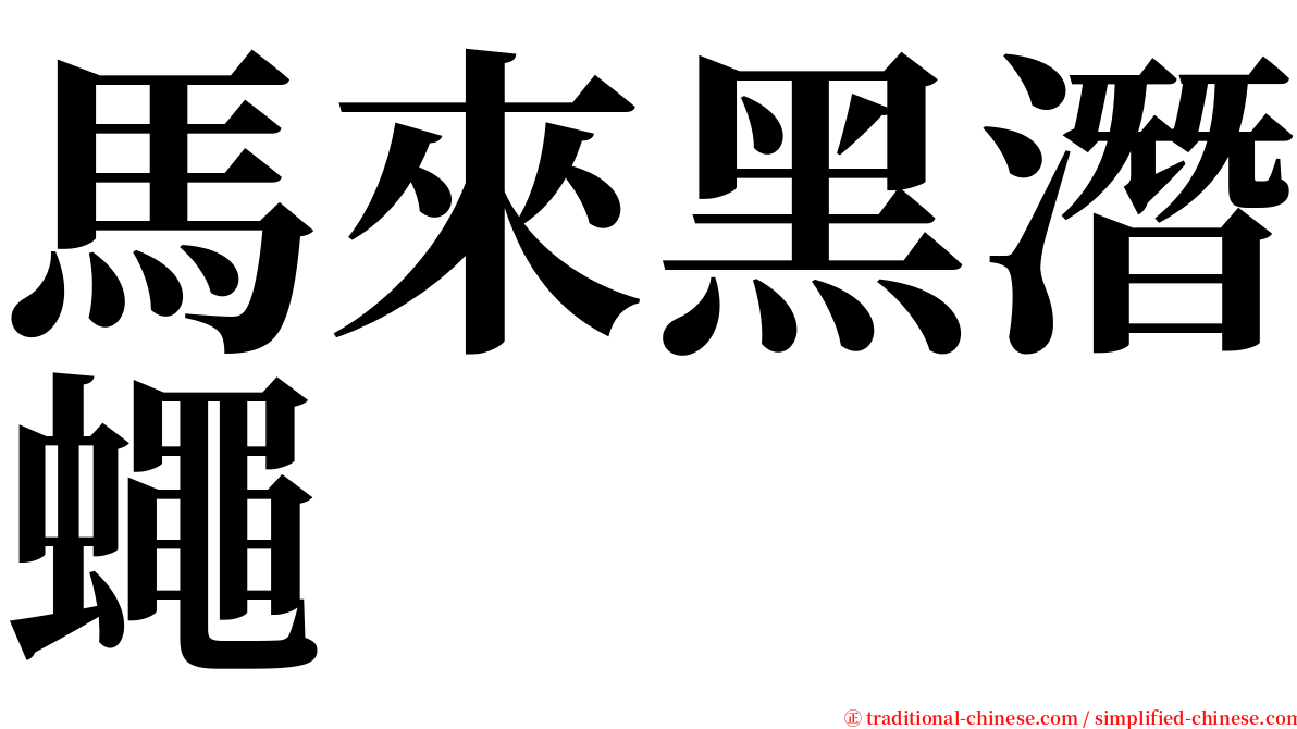 馬來黑潛蠅 serif font