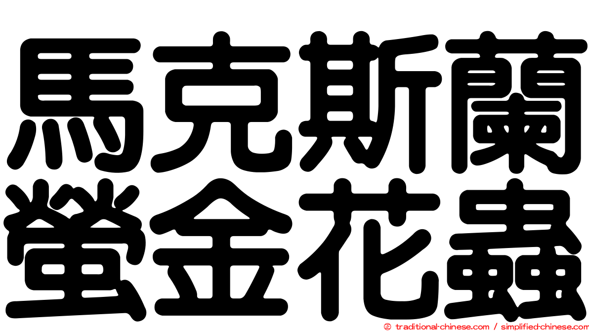 馬克斯蘭螢金花蟲