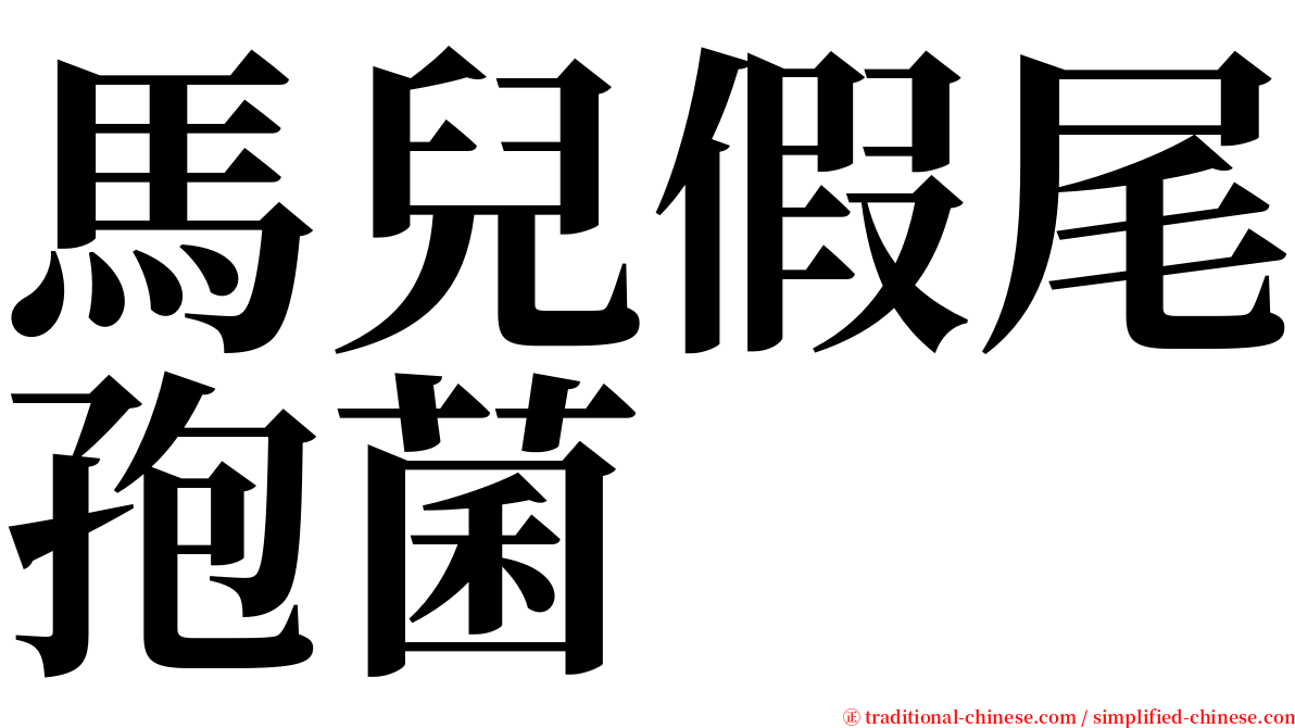 馬兒假尾孢菌 serif font