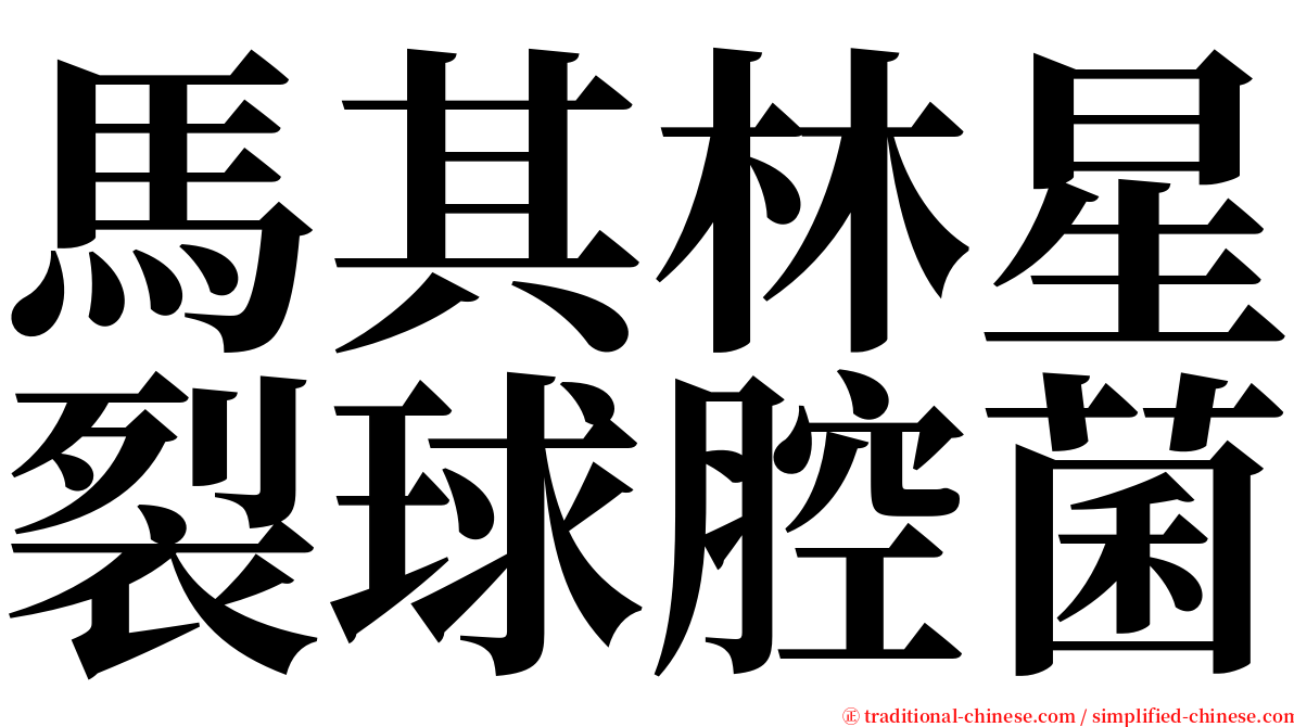 馬其林星裂球腔菌 serif font