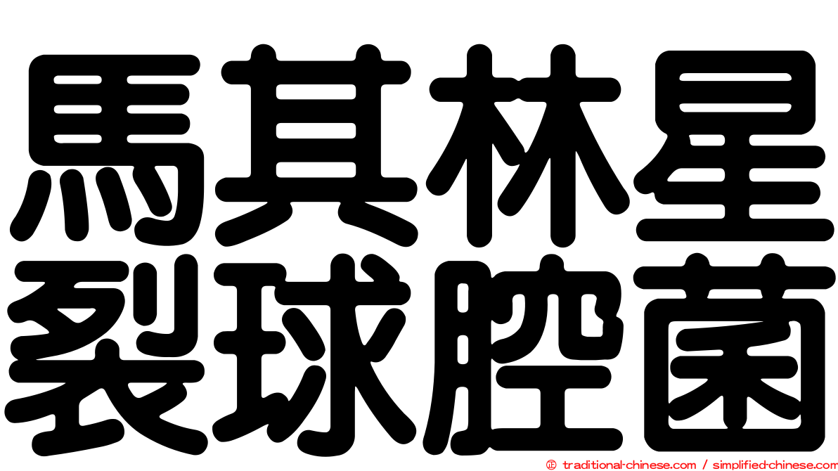 馬其林星裂球腔菌