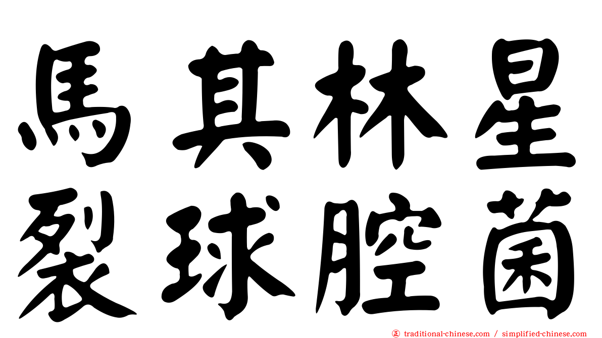 馬其林星裂球腔菌