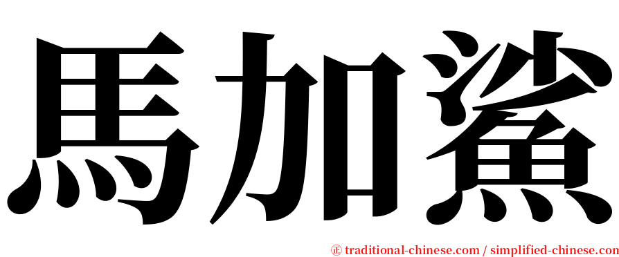 馬加鯊 serif font