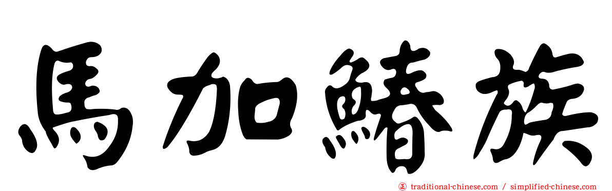 馬加鰆族