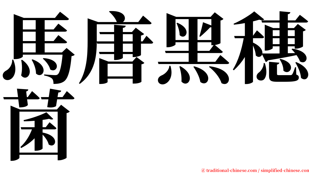 馬唐黑穗菌 serif font